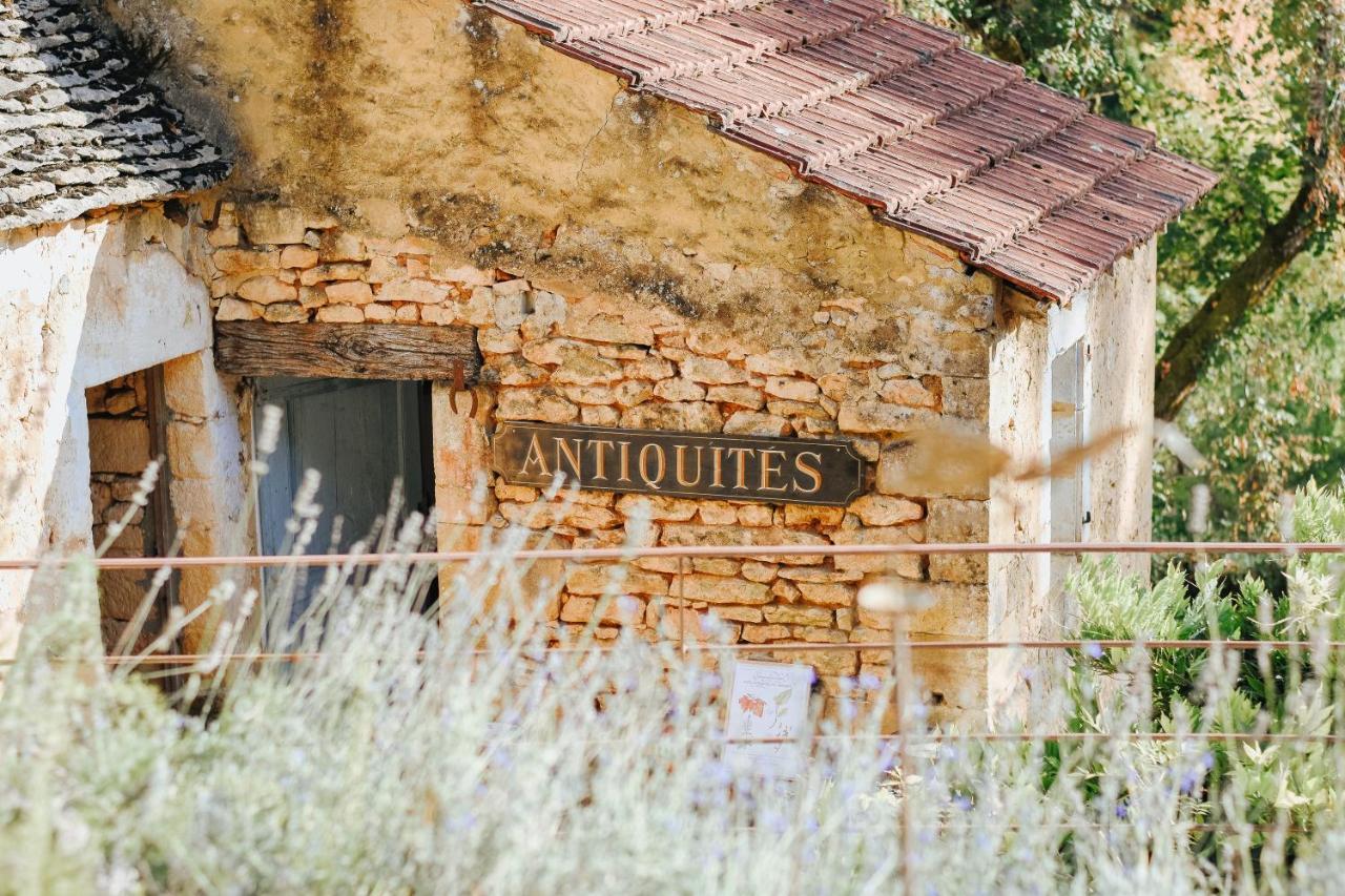 Maison Cistus - Maison D'Hotes De Charme - Suites Et Gite Avec Terrasses Privees - Proche De Sarlat, Au Coeur De La Nature 外观 照片