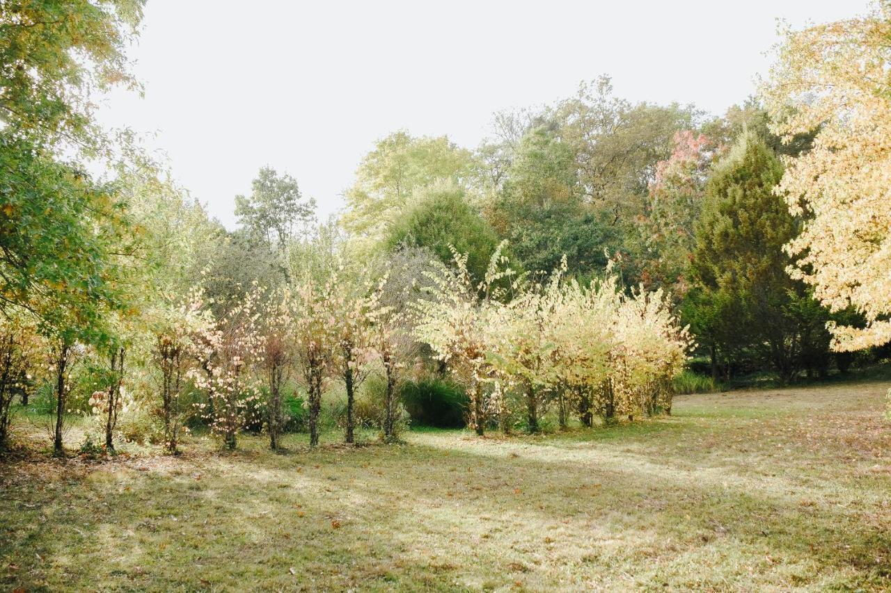 Maison Cistus - Maison D'Hotes De Charme - Suites Et Gite Avec Terrasses Privees - Proche De Sarlat, Au Coeur De La Nature 外观 照片