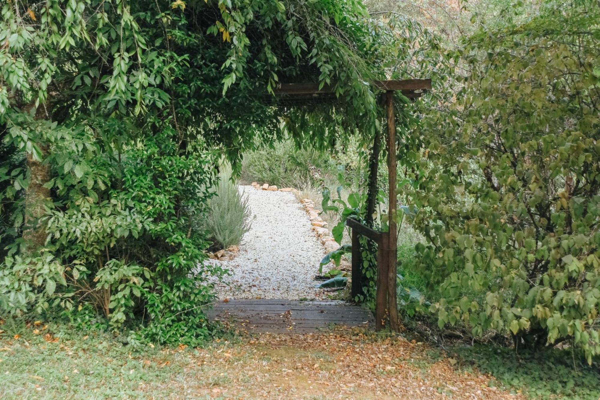 Maison Cistus - Maison D'Hotes De Charme - Suites Et Gite Avec Terrasses Privees - Proche De Sarlat, Au Coeur De La Nature 外观 照片